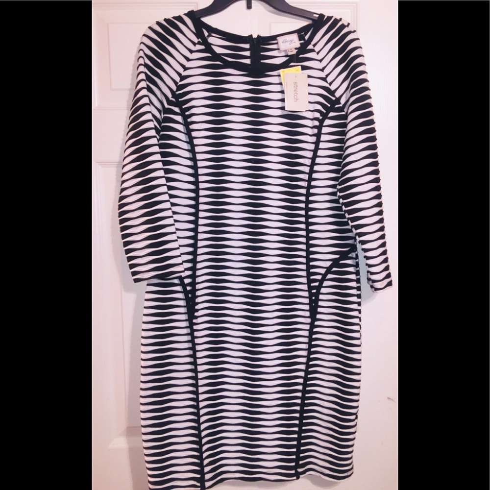 Black/White Dress